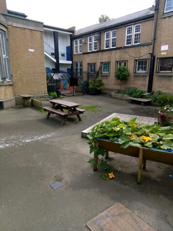 garden - Copy.jpg